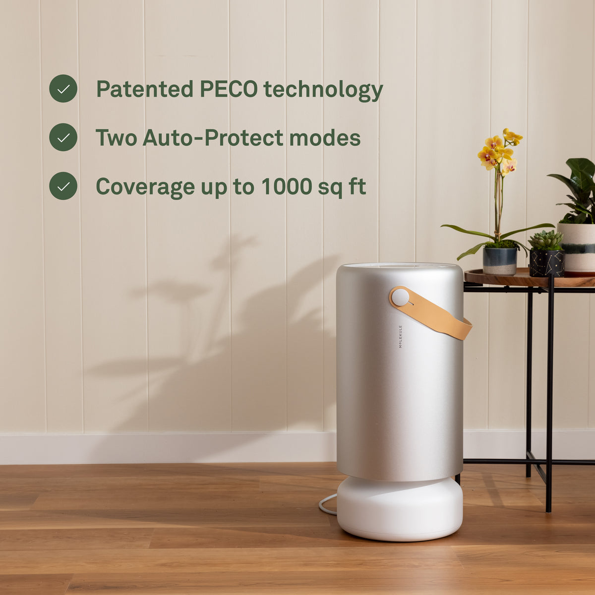 Air Pro with PECO Filter