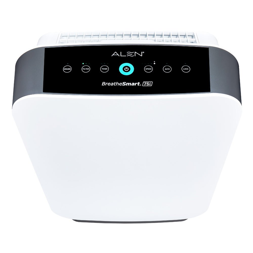 BreatheSmart 45i
